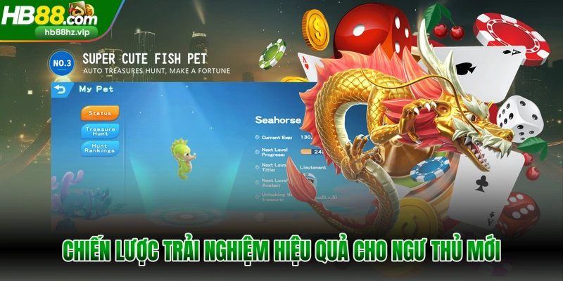 Chiến lược trải nghiệm hiệu quả cho ngư thủ mới